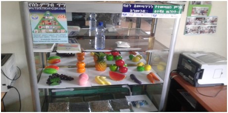 Nutrition and Basic Health